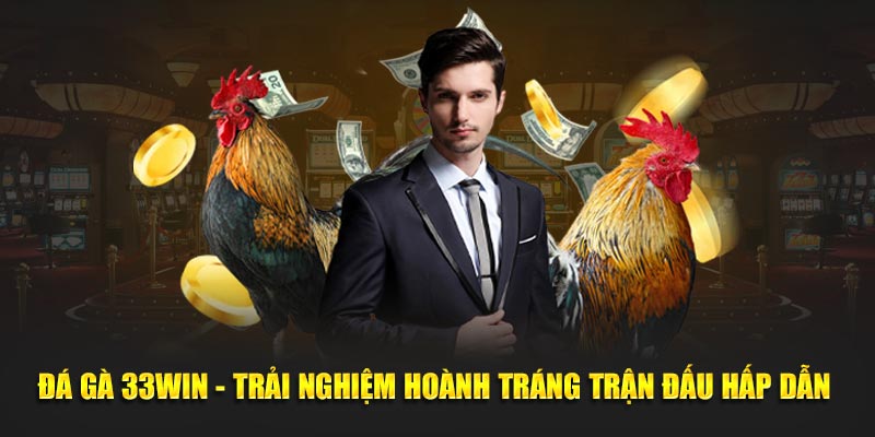 Đá gà 33Win