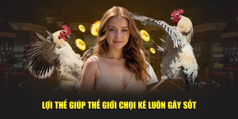 Lợi thế giúp thế giới chọi kê luôn gây sốt