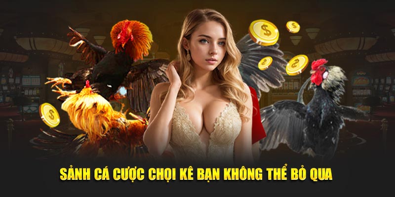 Sảnh cá cược chọi kê bạn không thể bỏ qua